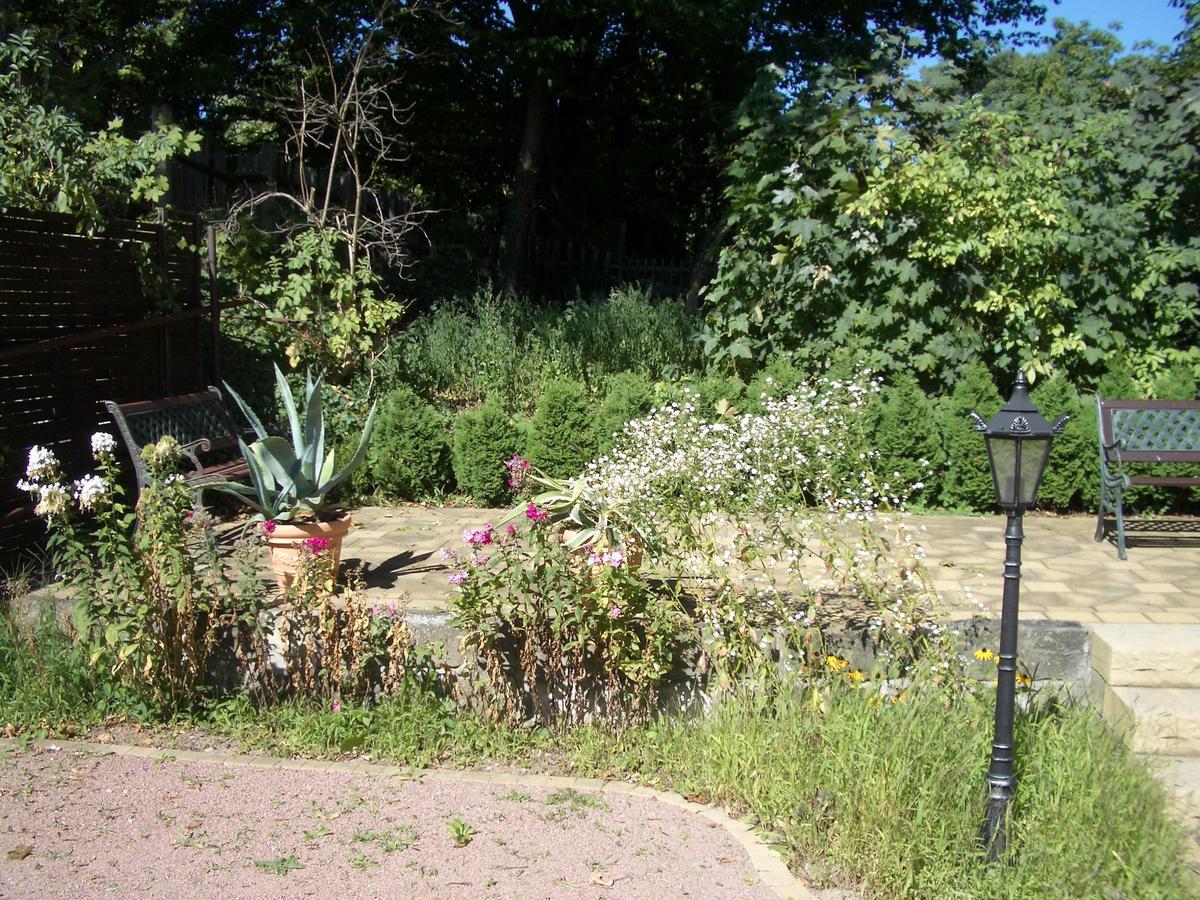 Hotel-Appartement-Villa Ulenburg Drezno Zewnętrze zdjęcie